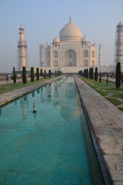 Agra (3)