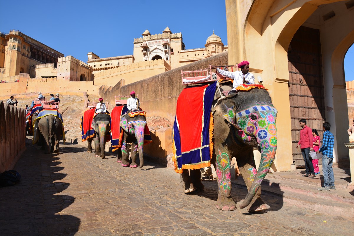 Jaipur (5)