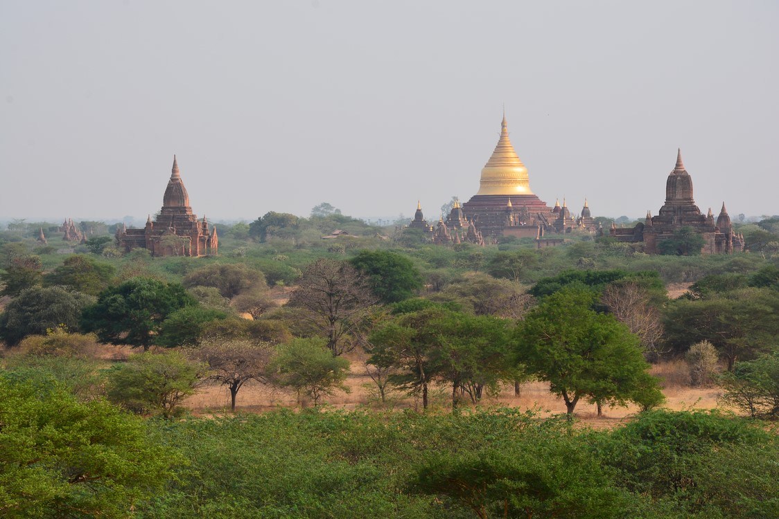 Bagan (41)