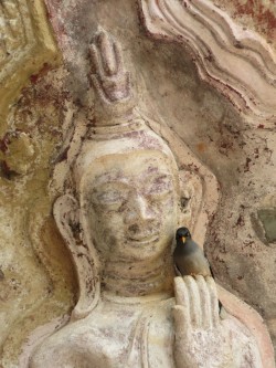 Hpa-an (24)