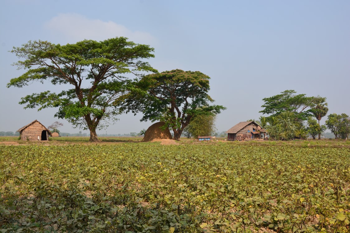 Mawlamyaïne (3)