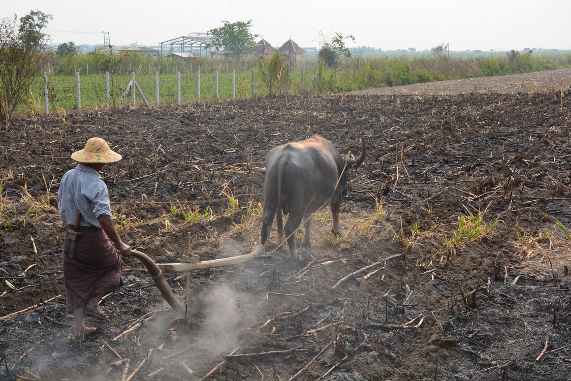 Nyaung Shwe (39)