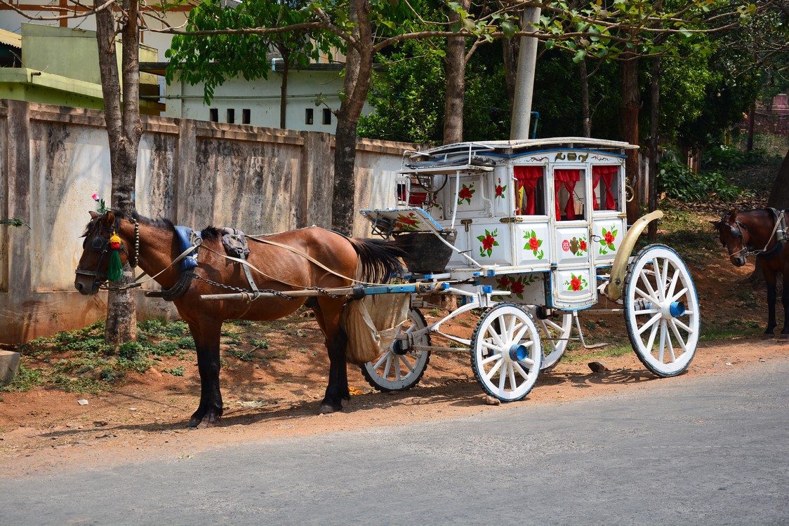 Pyin Oo Lwin (12)