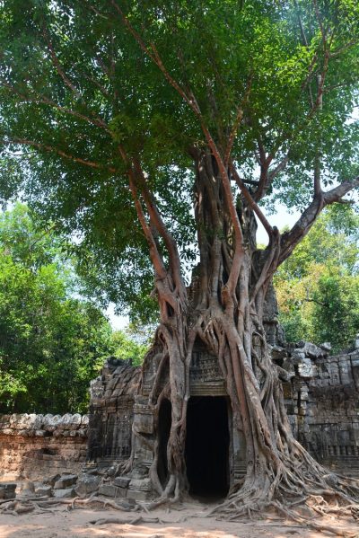 Siem Reap (26)