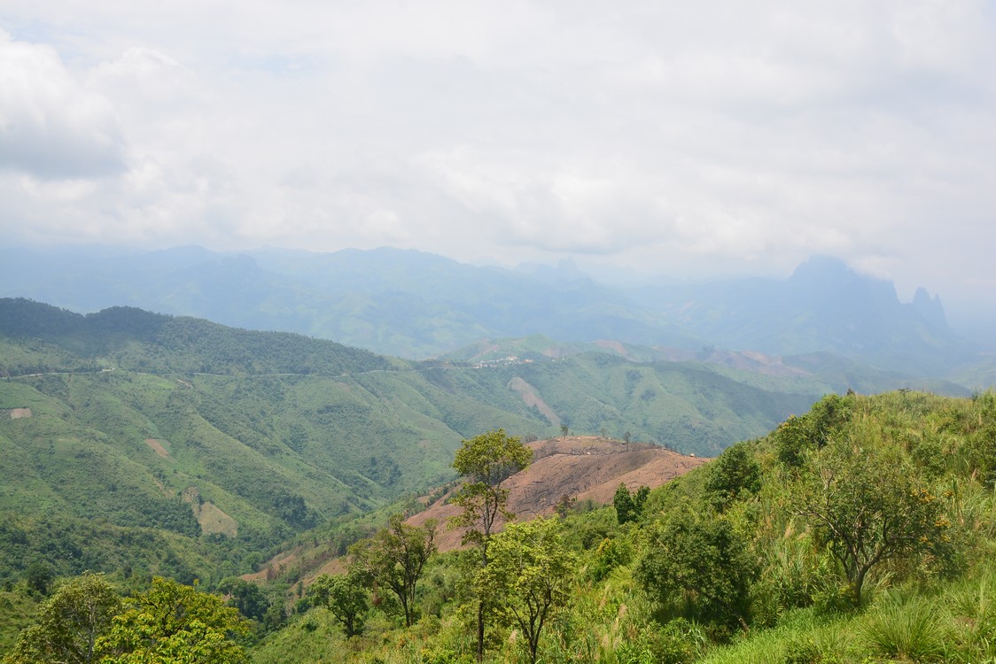 Luang Prabang (1)