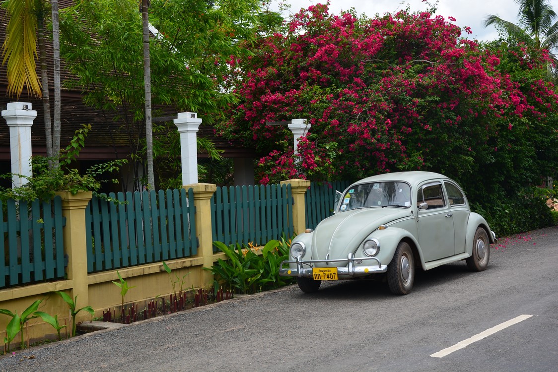 Luang Prabang (27)