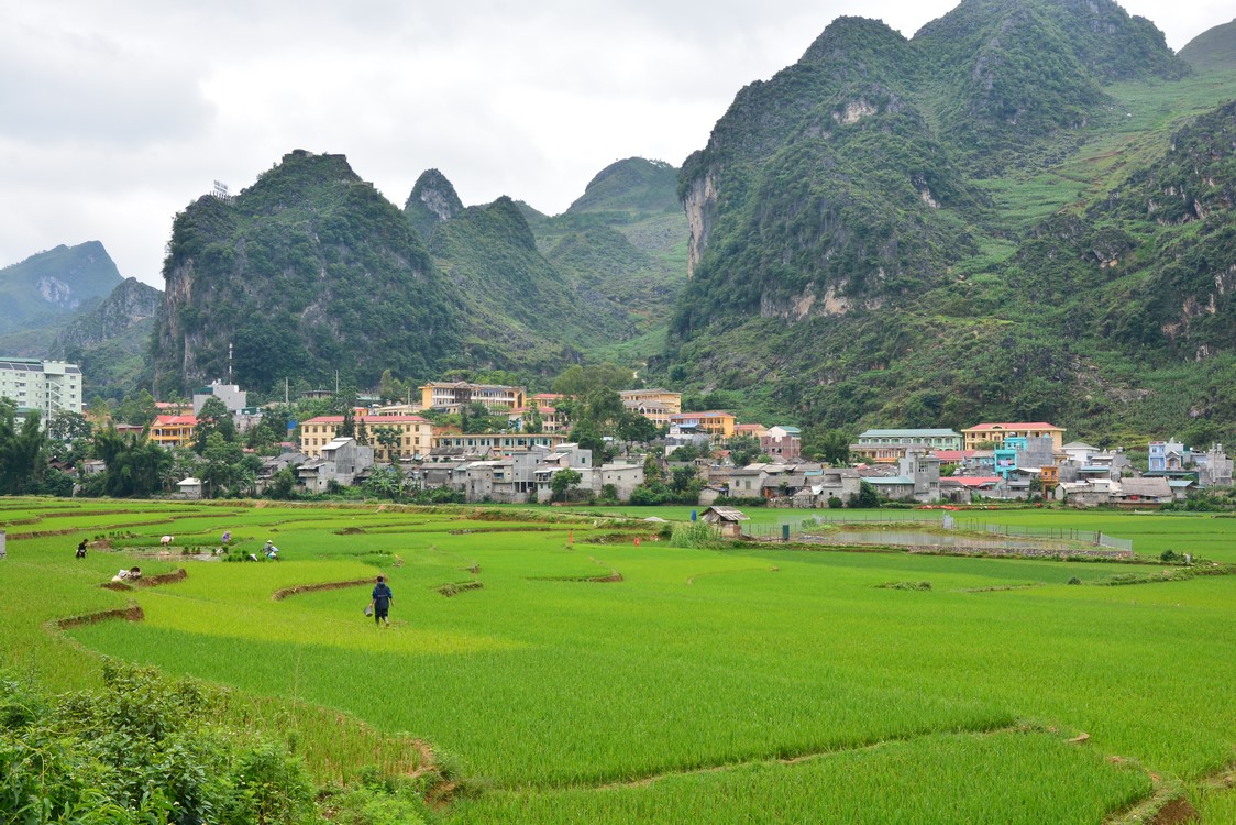 Ha Giang (18)