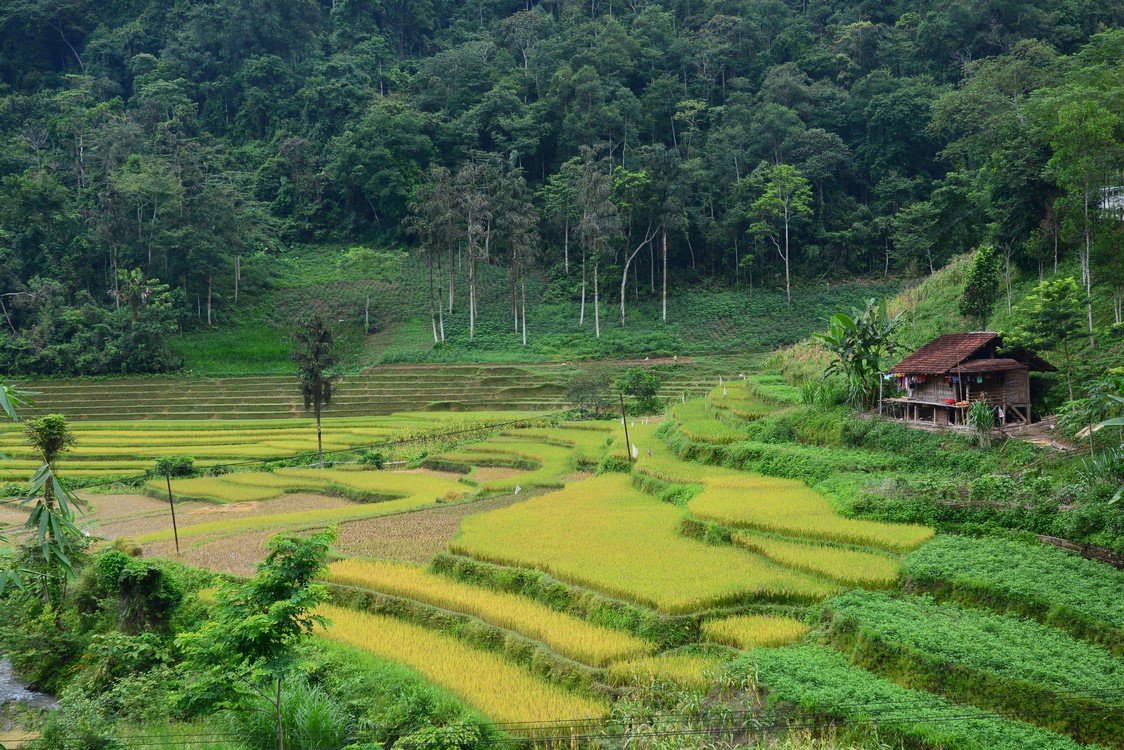 Ha Giang (33)