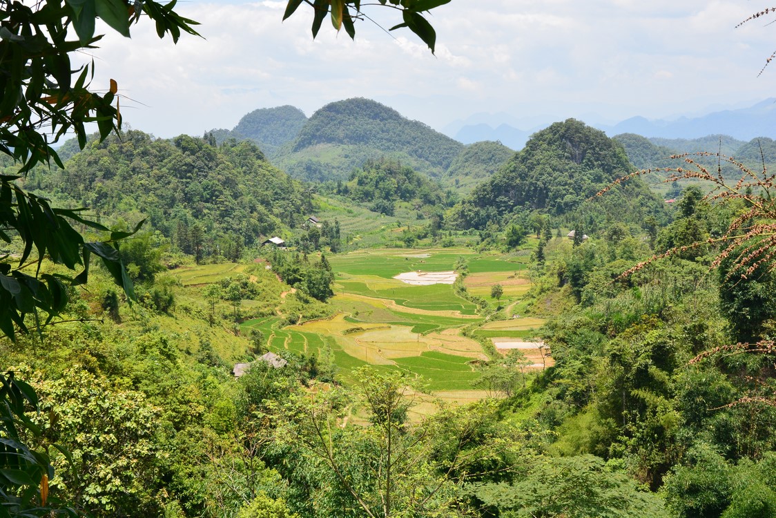 Ha Giang (4)