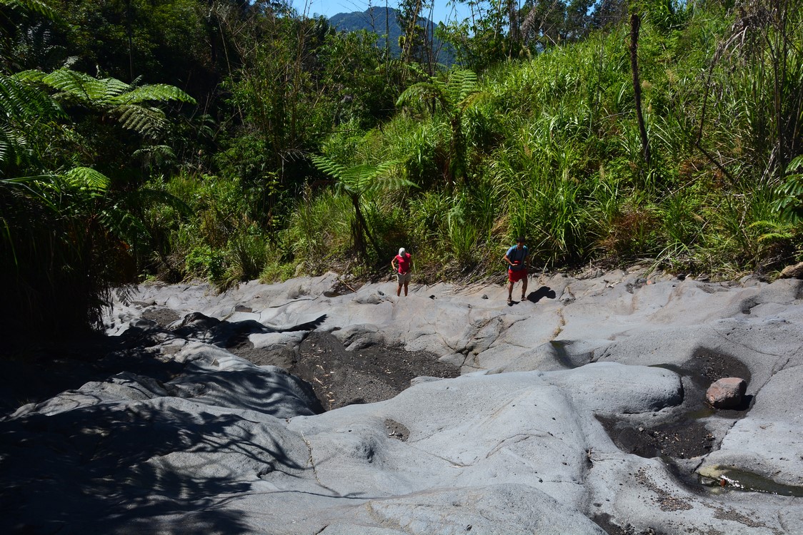 Tomohon (6)