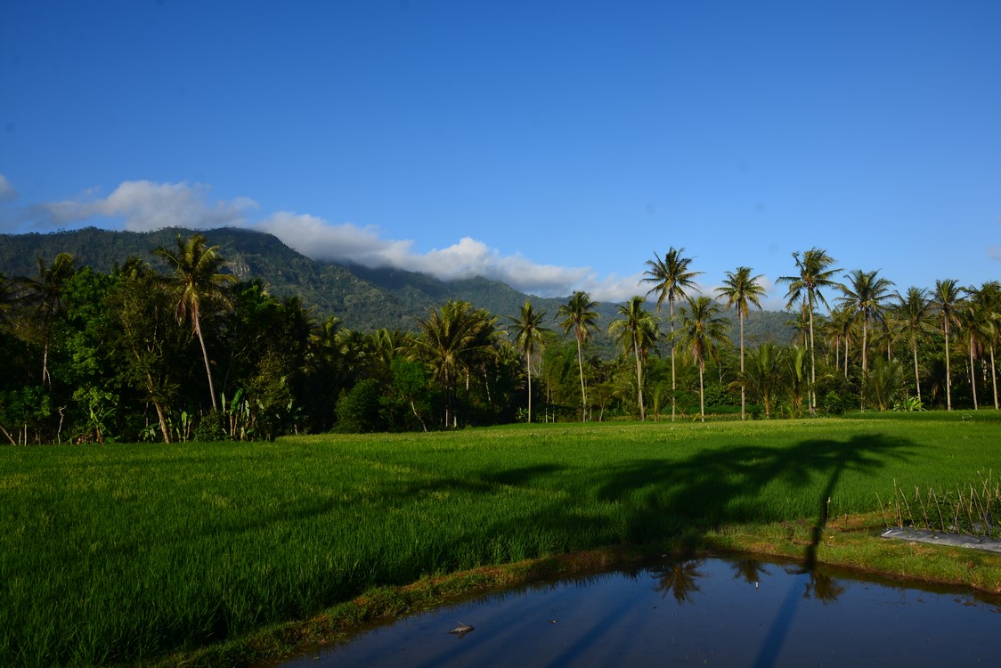 Borobudur (19)