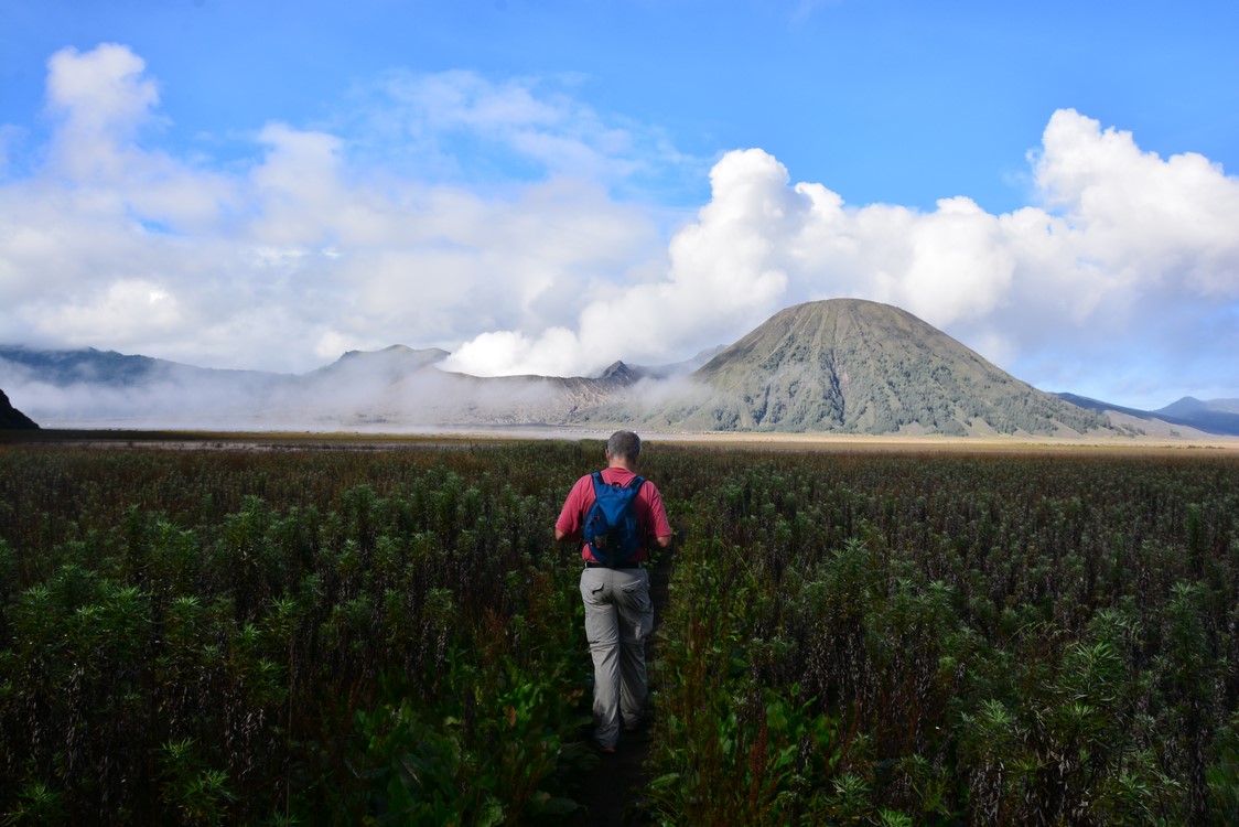 Bromo (6)