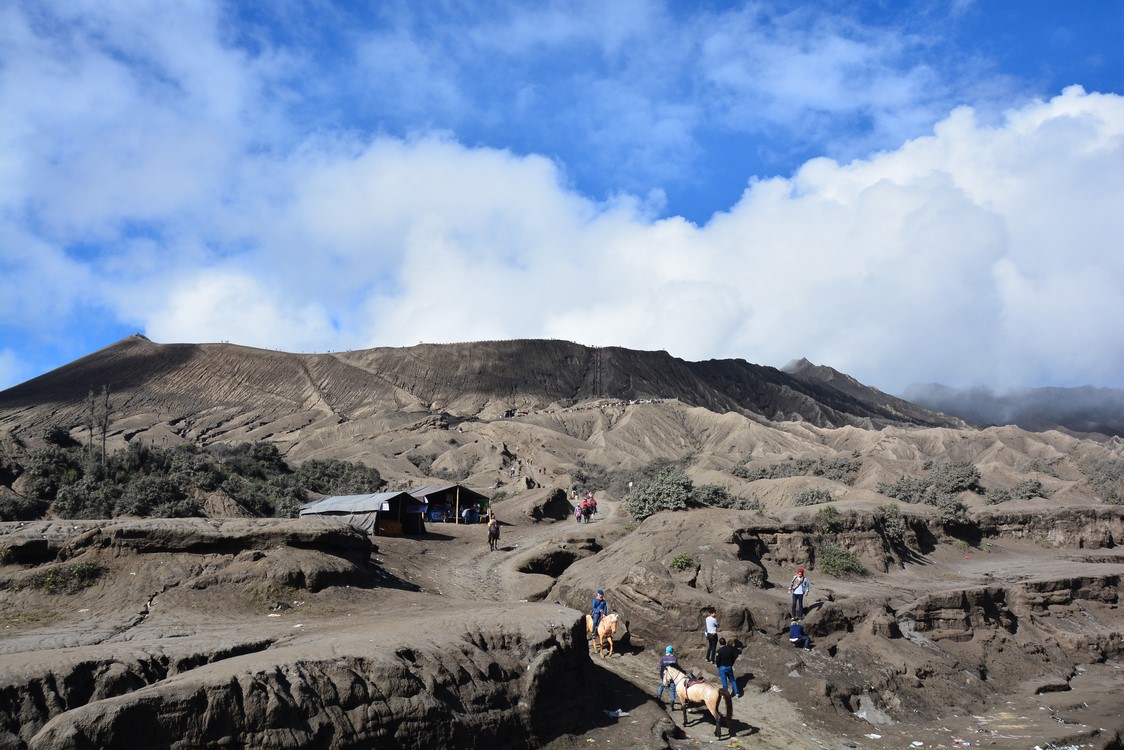 Bromo (9)